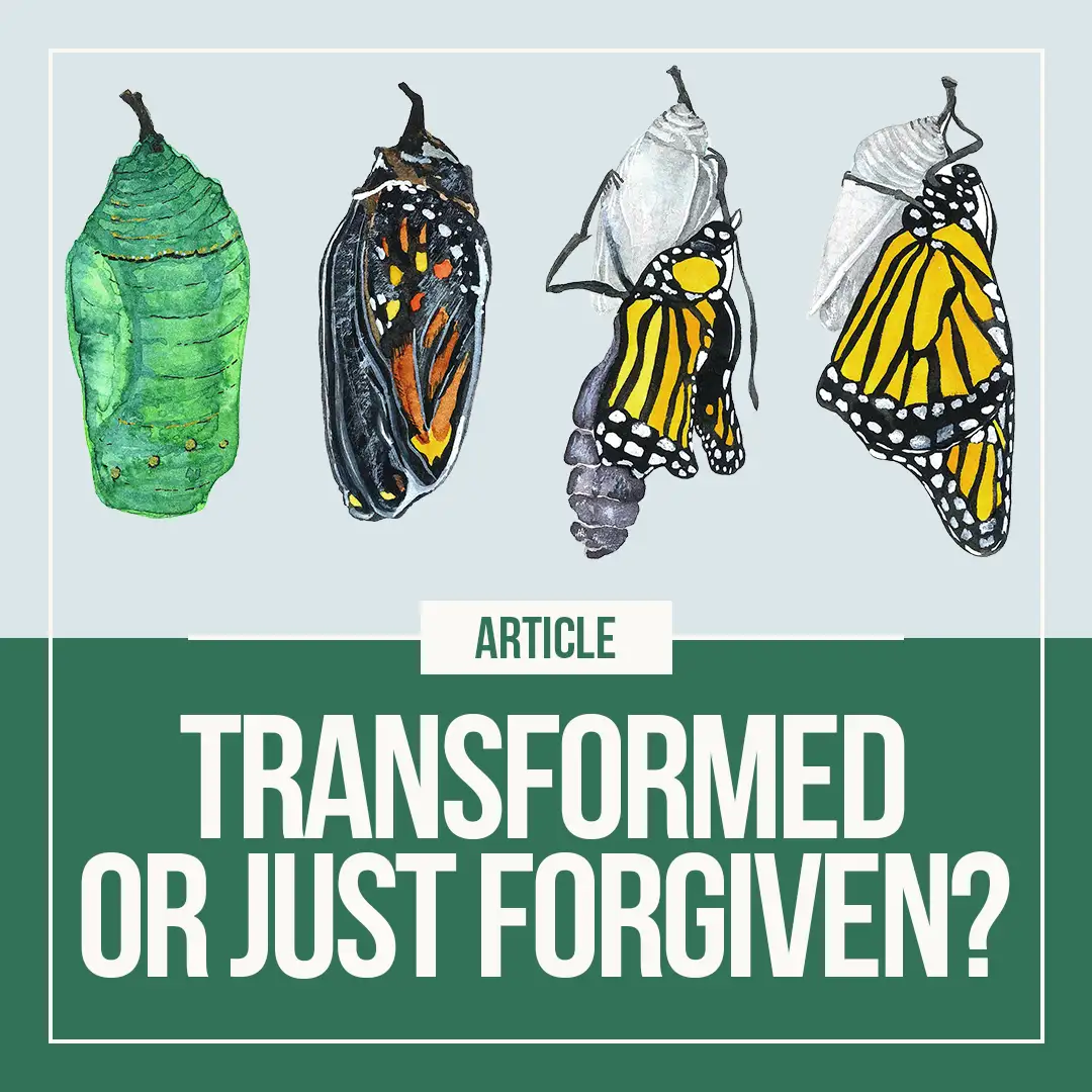 Square-Transformed-or-Just-Forgiven